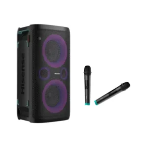 Hisense – Party Rocker One Plus – 2 micro sans fil – Haut Parleur – 300W – HP110