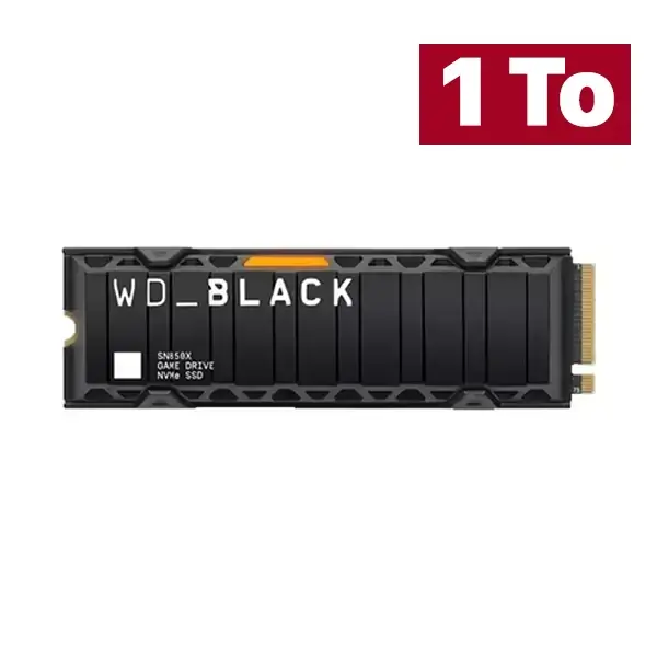 WDS100T2XHE-00BCA0_nw