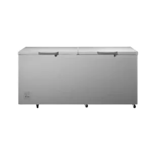 Hisense Congélateur Horizontal – 2 Portes -520L- FC-66DD4HA