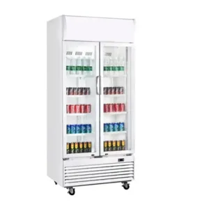 Nasco Refroidisseur Vertical Deux Battants – 658L – NAS-1000-2DR WA