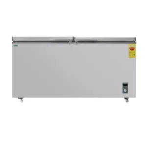 Nasco Congélateur Horizontal avec 2 paniers à l’intérieurs – 2 PORTES – 525L Net – NAS-800FL-DD-DS