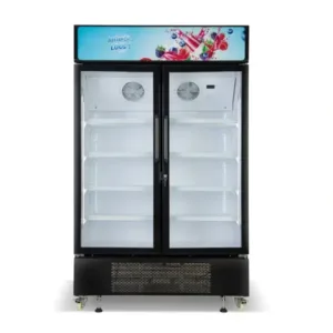 Nasco Refroidisseur Vertical Deux Portes 730LT – NAS-CH1200-2DR