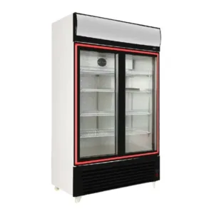 Nasco Refroidisseur Vertical Deux Portes 1300L – NAS-FL1300-2DR